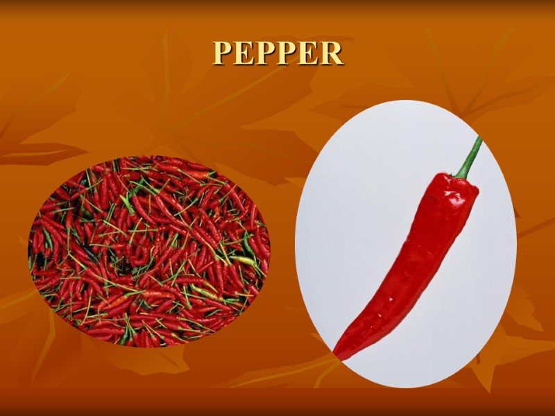 PEPPER